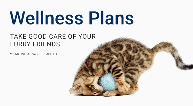 Wellness Plans from Johns Creek Veterinary Clinic