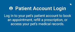 Patient Account Login Johns Creek Veterinarians